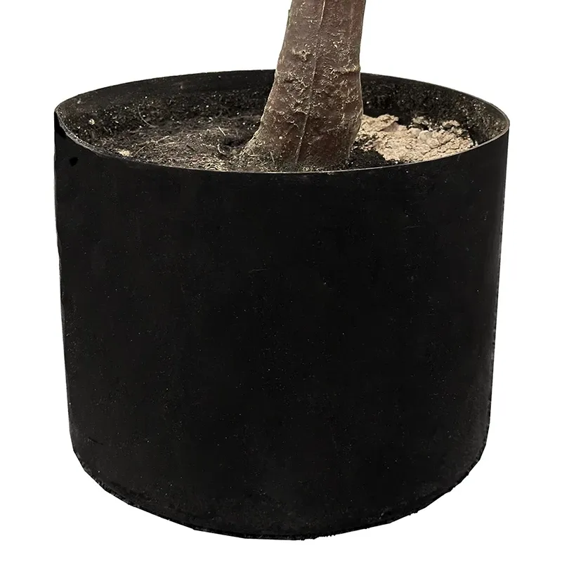 Buy Bougainvillea, 145cm, kunstig træ