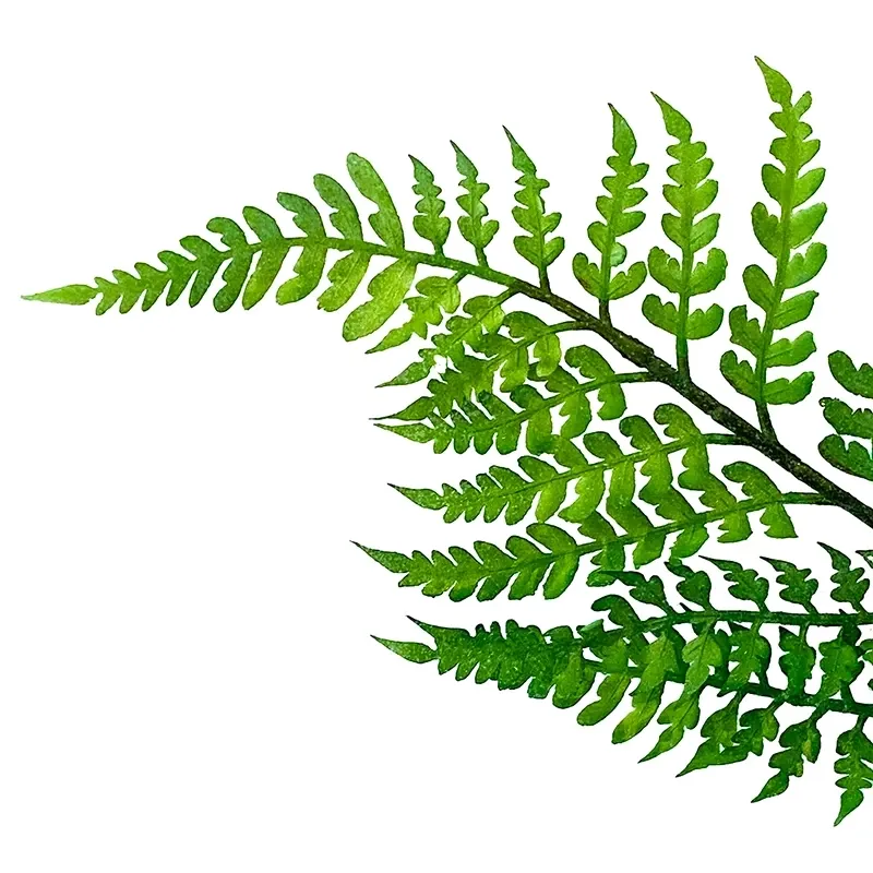 Buy Bregne, 130cm. kunstig plante