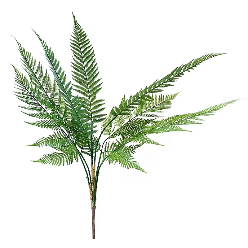 Buy Bregne, 83cm., kunstig plante