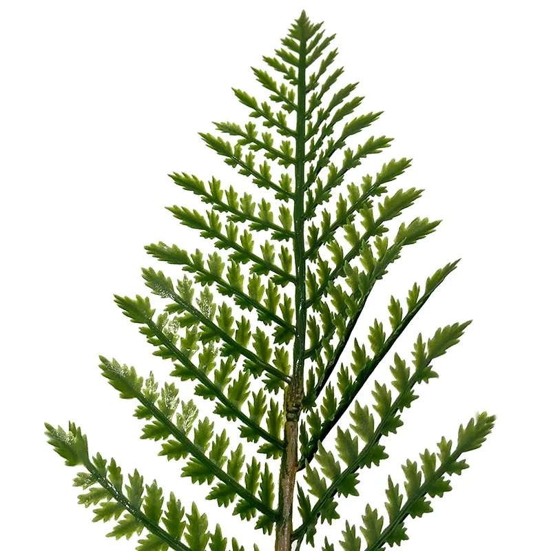 Buy Bregne, UV, 90cm, kunstig plante