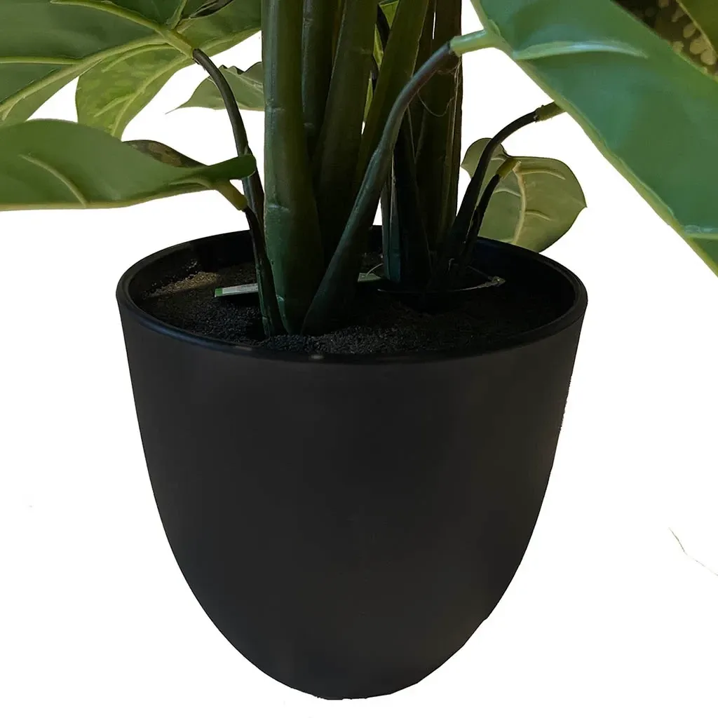 Buy Calathea plante i potte, 38cm, kunstig plante