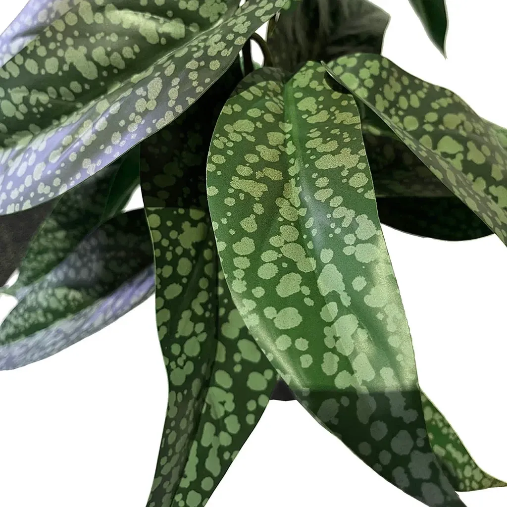 Buy Calathea plante i potte, 38cm, kunstig plante