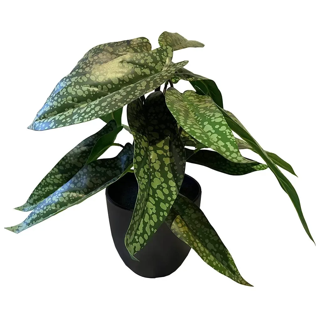 Buy Calathea plante i potte, 38cm, kunstig plante