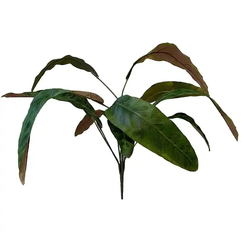 Buy Calathea stilke, 11stk, grøn, 70cm, kunstig
