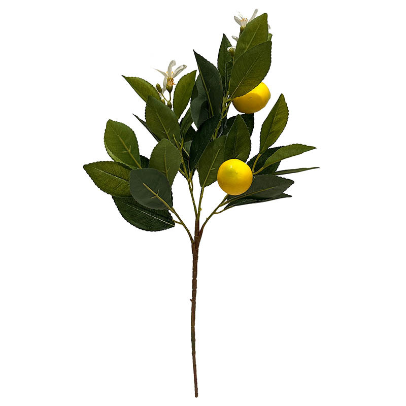 Buy Citrongren m citroner og blomster, 58cm