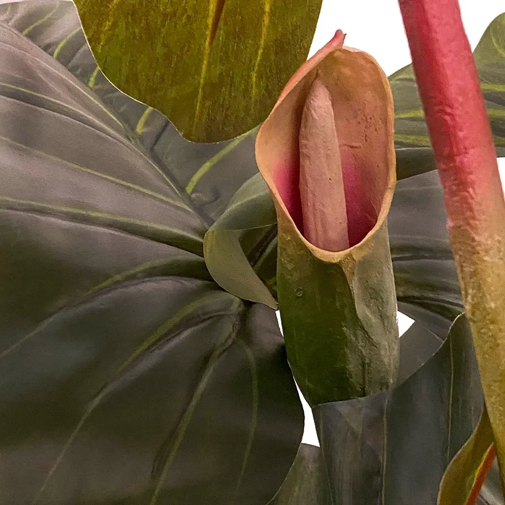 Buy Colocasia i potte, 175cm, kunstig plante