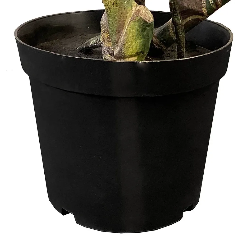 Buy Colocasia i potte, 175cm, kunstig plante