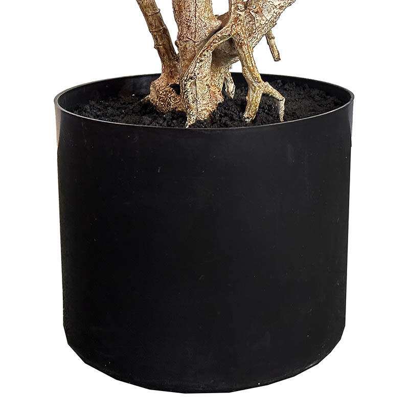 Buy Dracaena, 120cm, kunstig plante