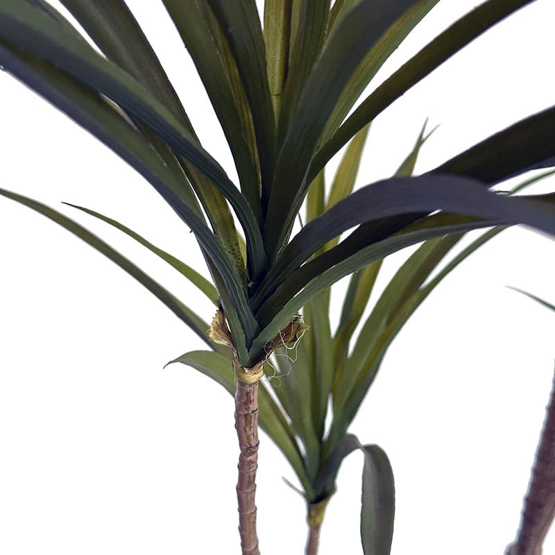 Buy Dracaena, 180cm, kunstig plante