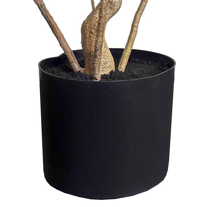 Buy Dracaena, 180cm, kunstig plante