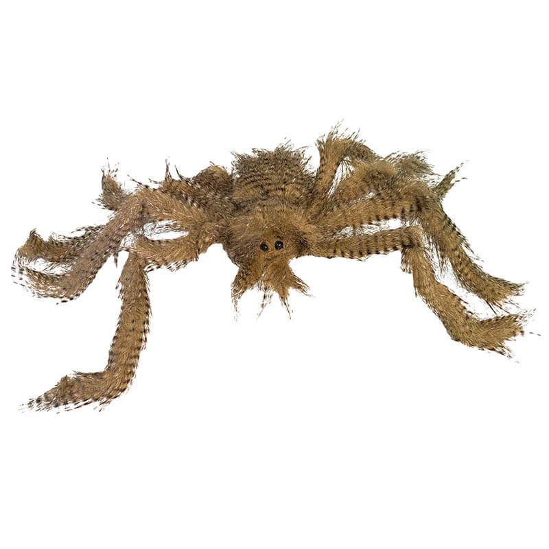 Buy Edderkop, 70cm, brun og sort