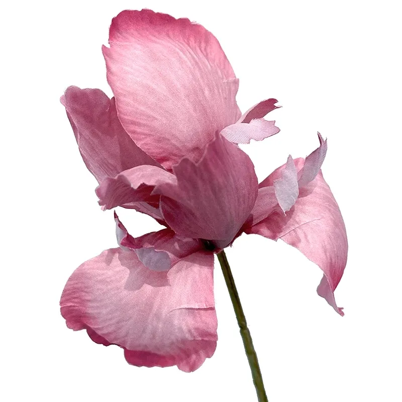 Buy Efterårsgren, Iris, rosa, kunstig gren