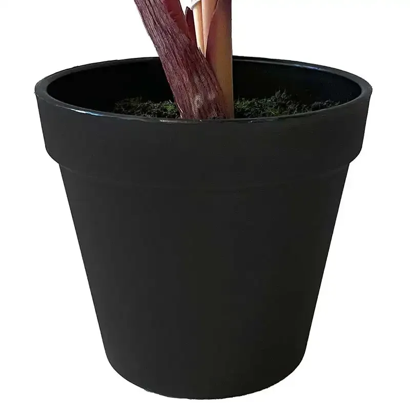 Buy Elefantøre/ Alocasia, 40cm. UV, lilla