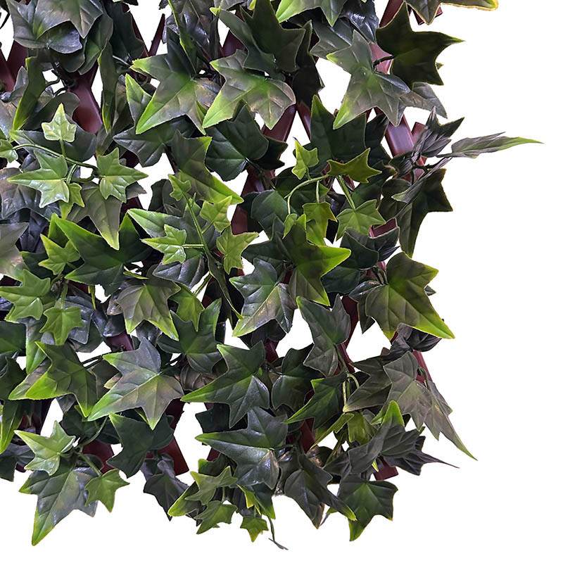 Buy Espalier, UV, efeu, kunstig plante