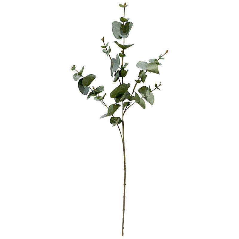 Buy Eukalyptus gren, 81cm, kunstig blomst