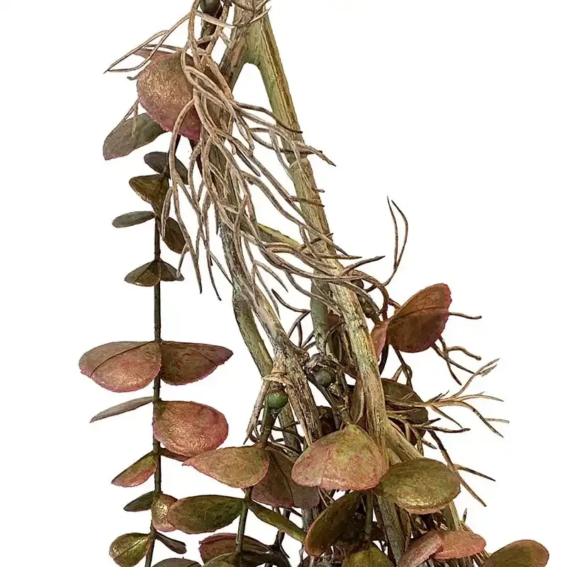 Buy Eukalyptus hängväxt, röd/grön, 97cm