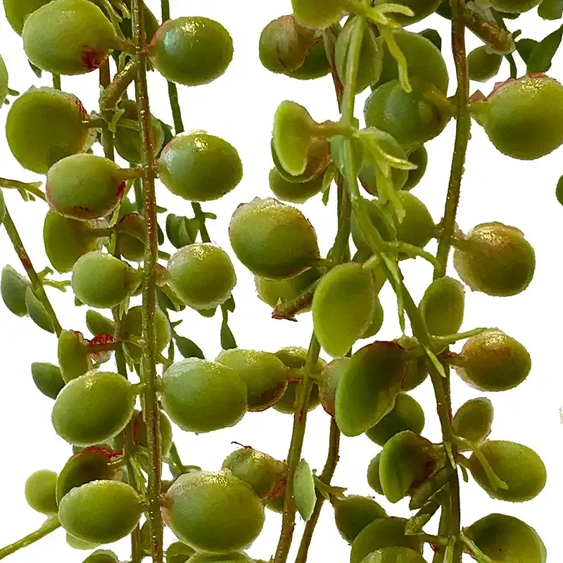 Buy Figen hænger, 70cm, kunstig plante