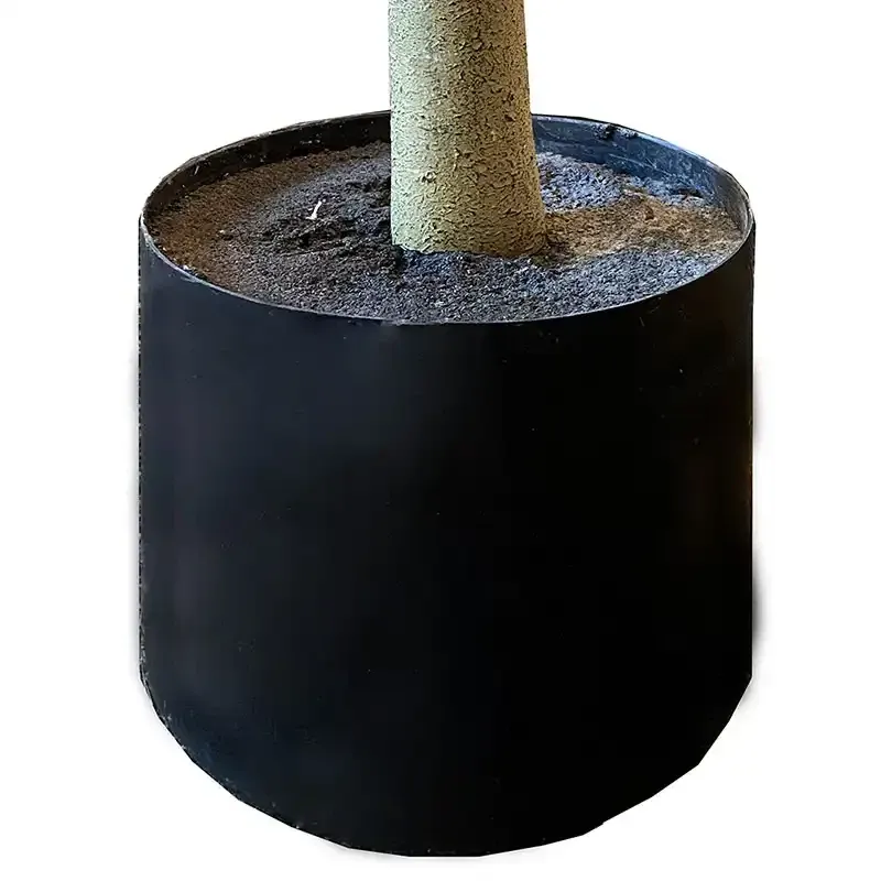 Buy Figen træ i potte, 150cm, 50 blade, kunstig