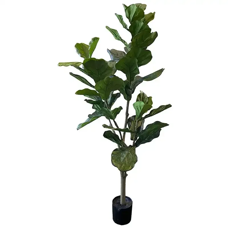 Buy Figen træ i potte, 150cm, 50 blade, kunstig