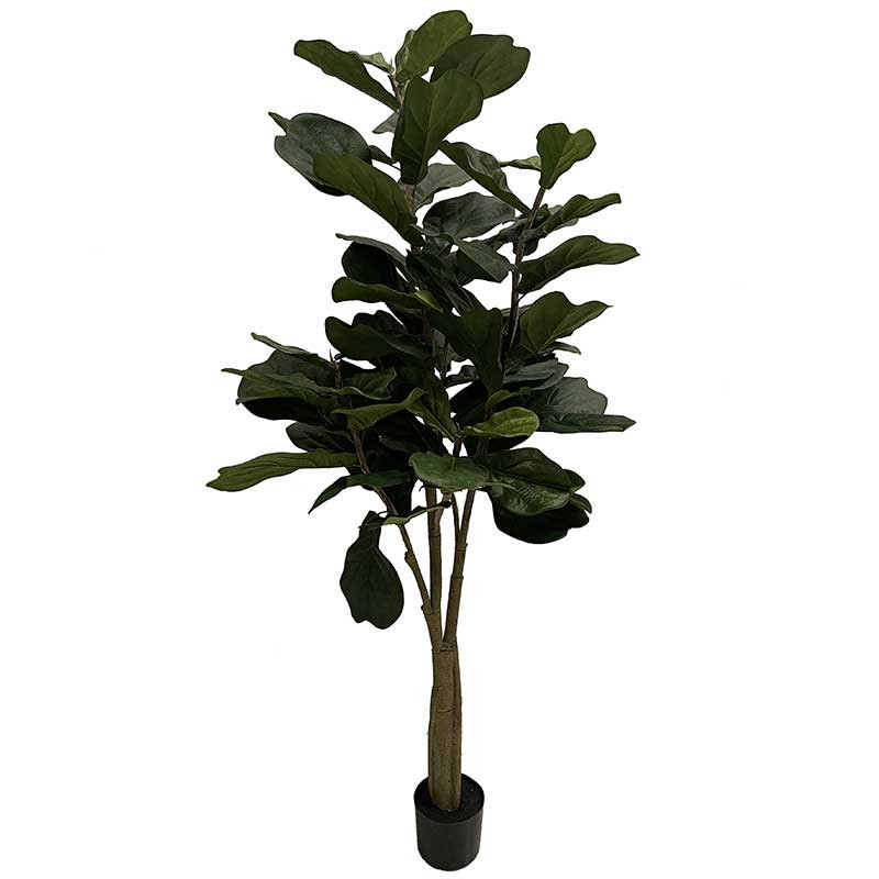 Buy Figen træ i potte, 180cm, 65 blade, kunstig