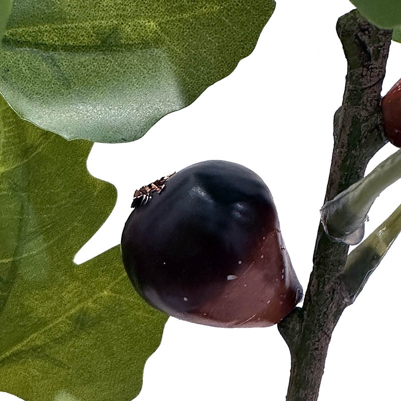 Buy Figentræ i potte, 30cm, kunstig plante