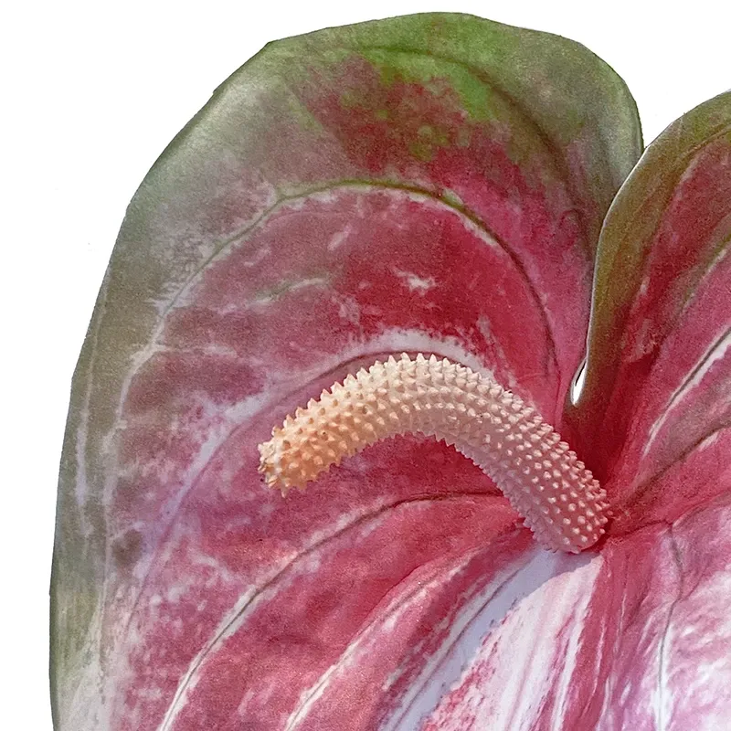 Buy Flamingo blomt, 70cm. kunstig blomst