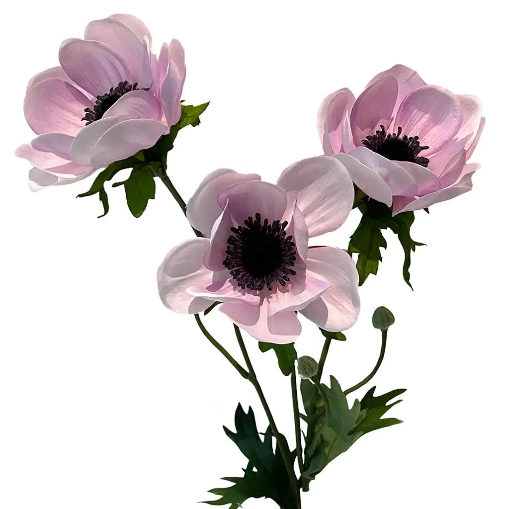 Buy Fransk anemone på stilk, creme/rosa, 75cm