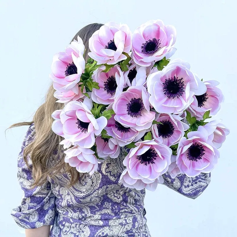 Buy Fransk anemone på stilk, creme/rosa, 75cm