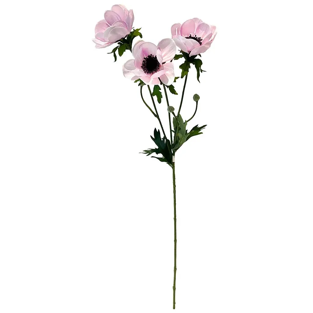 Buy Fransk anemone på stilk, creme/rosa, 75cm