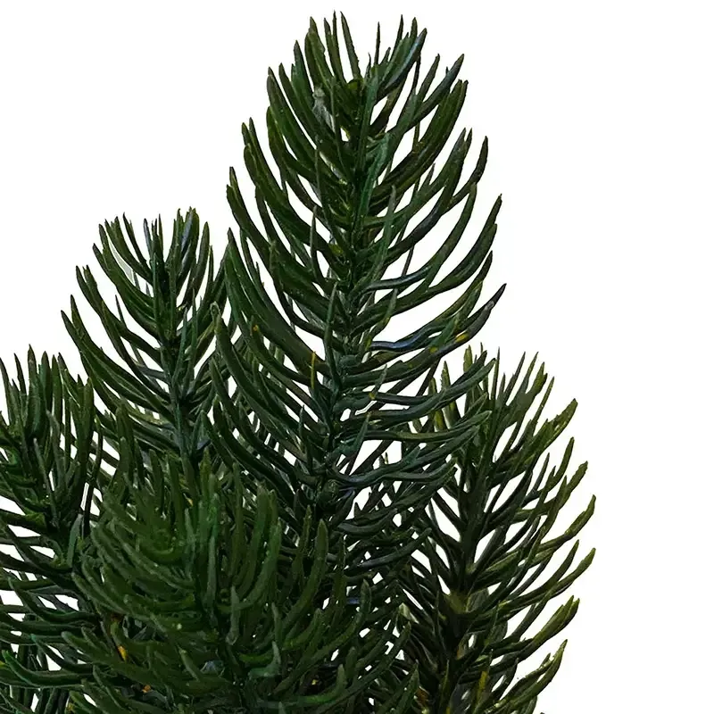 Buy Grantræ, nisse, i potte, 42cm, kunstig gran