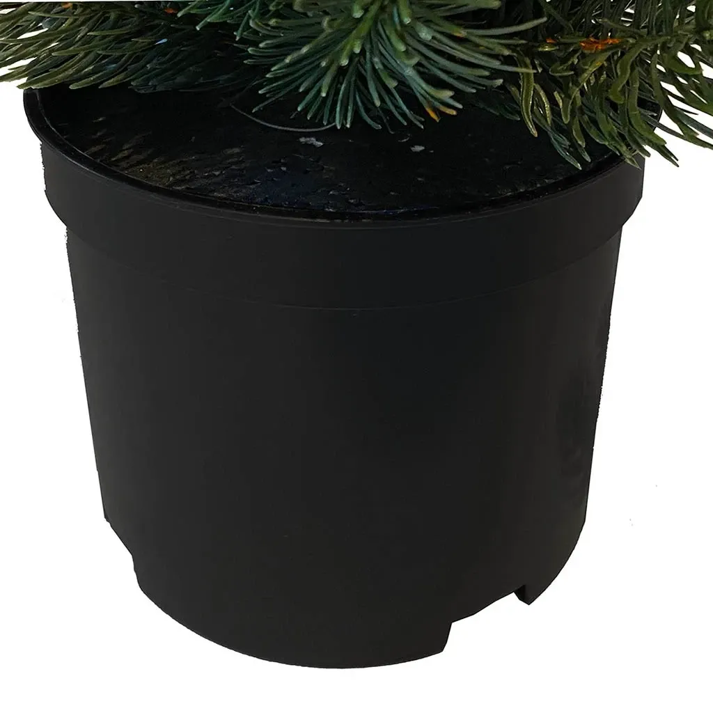 Buy Grantræ, nisse, i potte, 42cm, kunstig gran