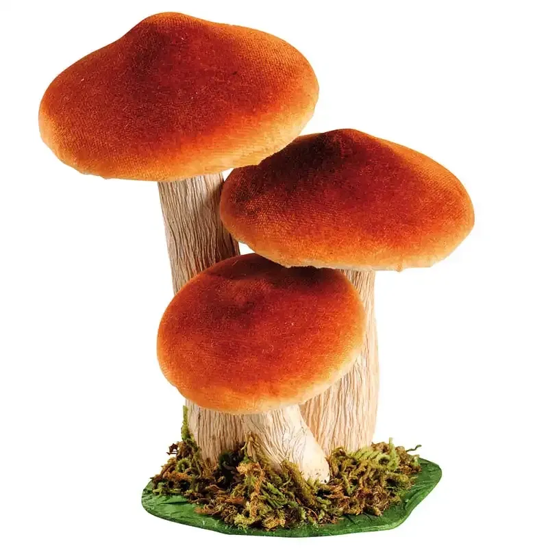 Buy Gruppe af svampe, 3stk på plade, kunstig