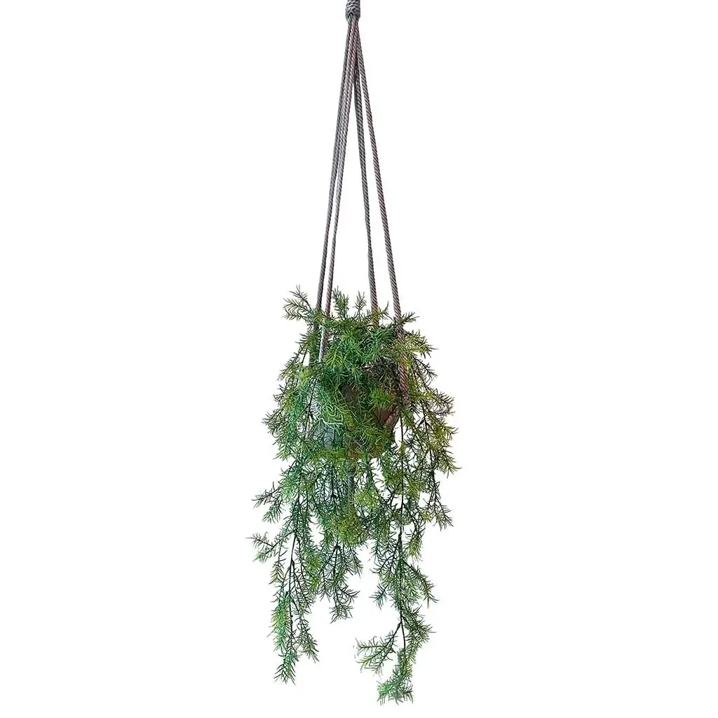 Buy Hænge-asparges i krukke med ophæng, kunstig