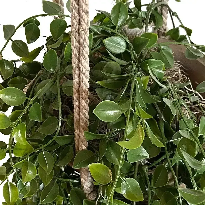 Buy Hængefigen i krukke med ophæng, kunstig plante