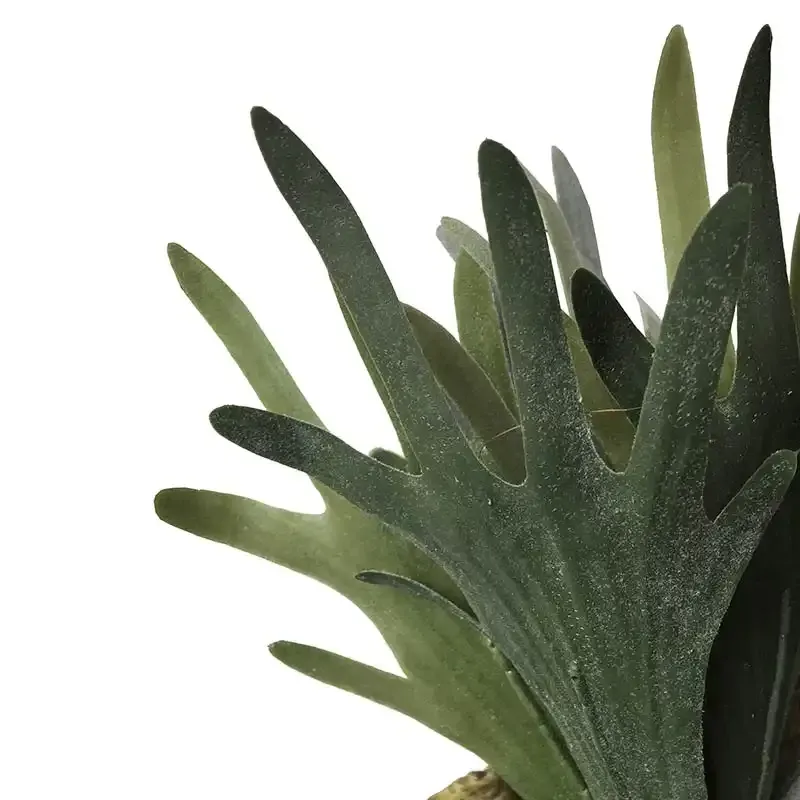 Buy Hjortetaksbregne, Platcerium, kunstig plante