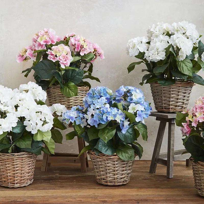 Buy Hortensia blå, i kurvepotte, 45cm, kunstig