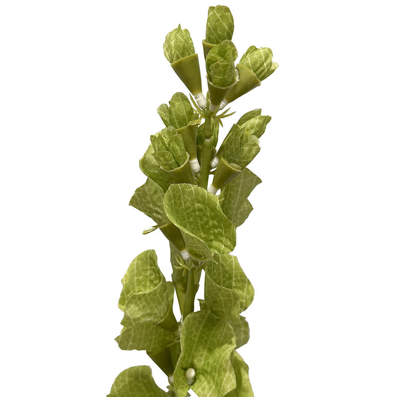 Buy Irlandsklokke, molucella, 80cm. kunstig gren