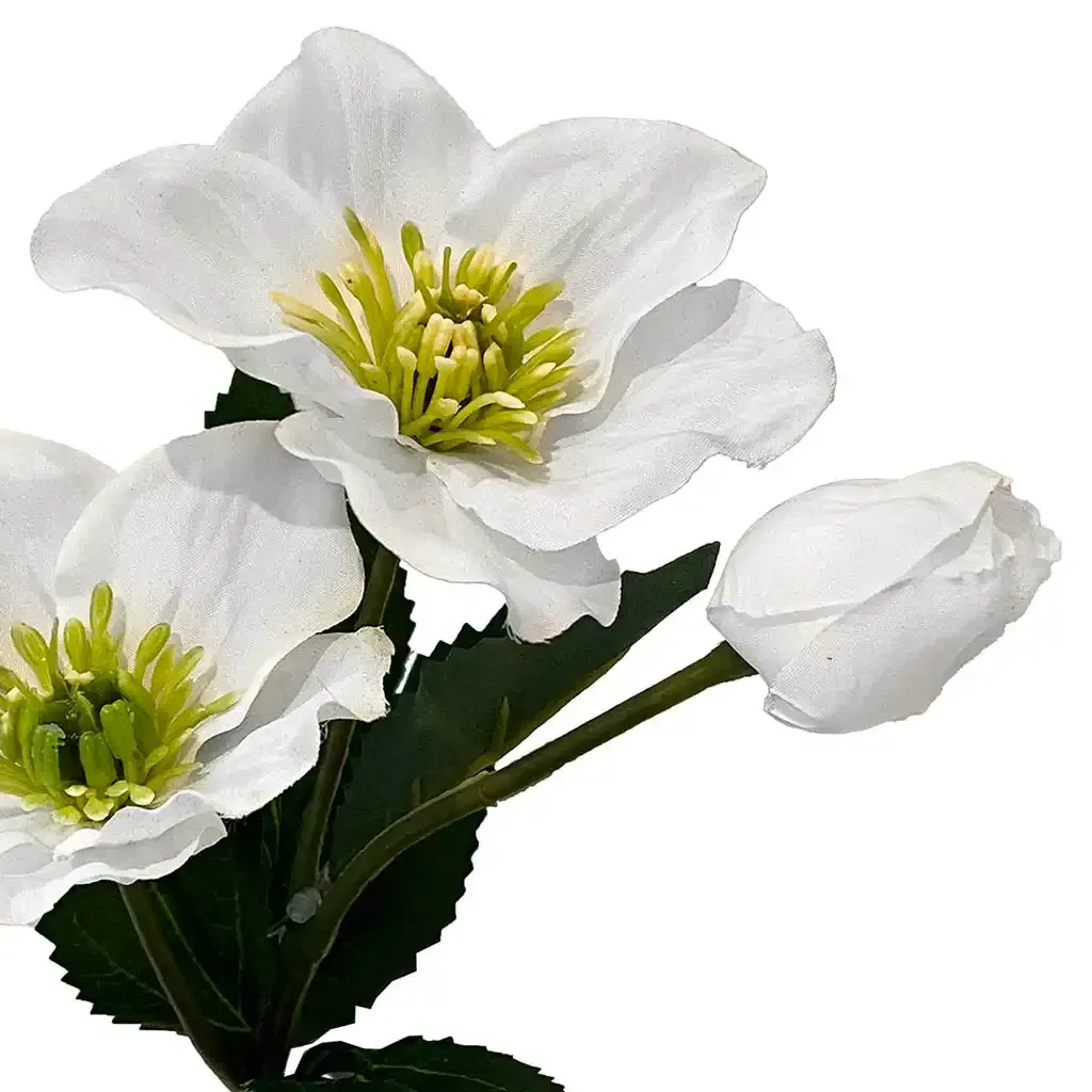 Buy Julerose, Helleborus, grøn, 34cm, kunstig