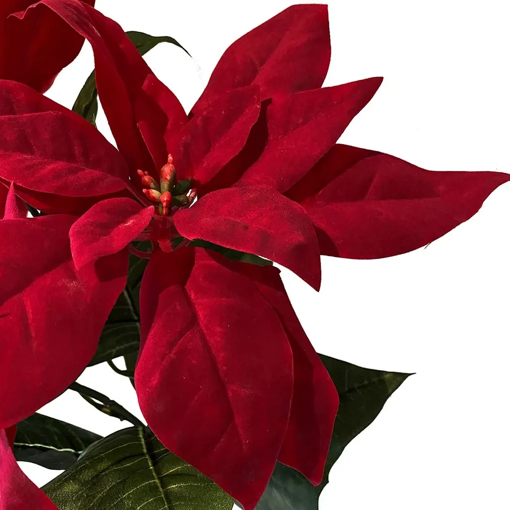 Buy Julestjerne, rød, 3 stilke, 32cm, kunstig