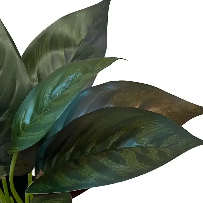 Buy Kalatea plante i potte, 25cm, kunstig plante