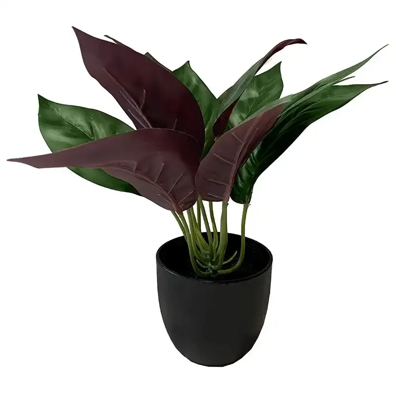 Buy Kalatea plante i potte, 25cm, kunstig plante