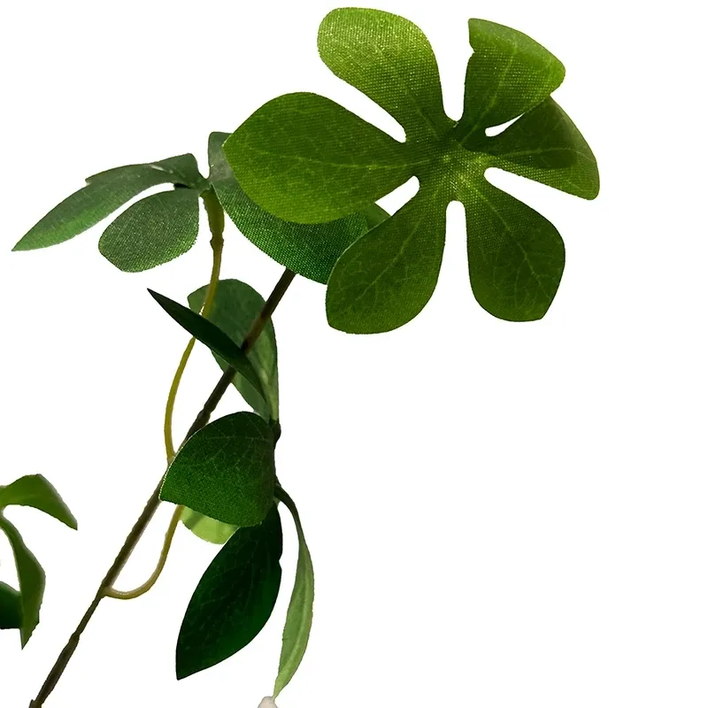 Buy Klæbefrø, pittosporum, kunstig plante