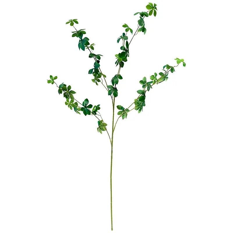 Buy Klæbefrø, pittosporum, kunstig plante