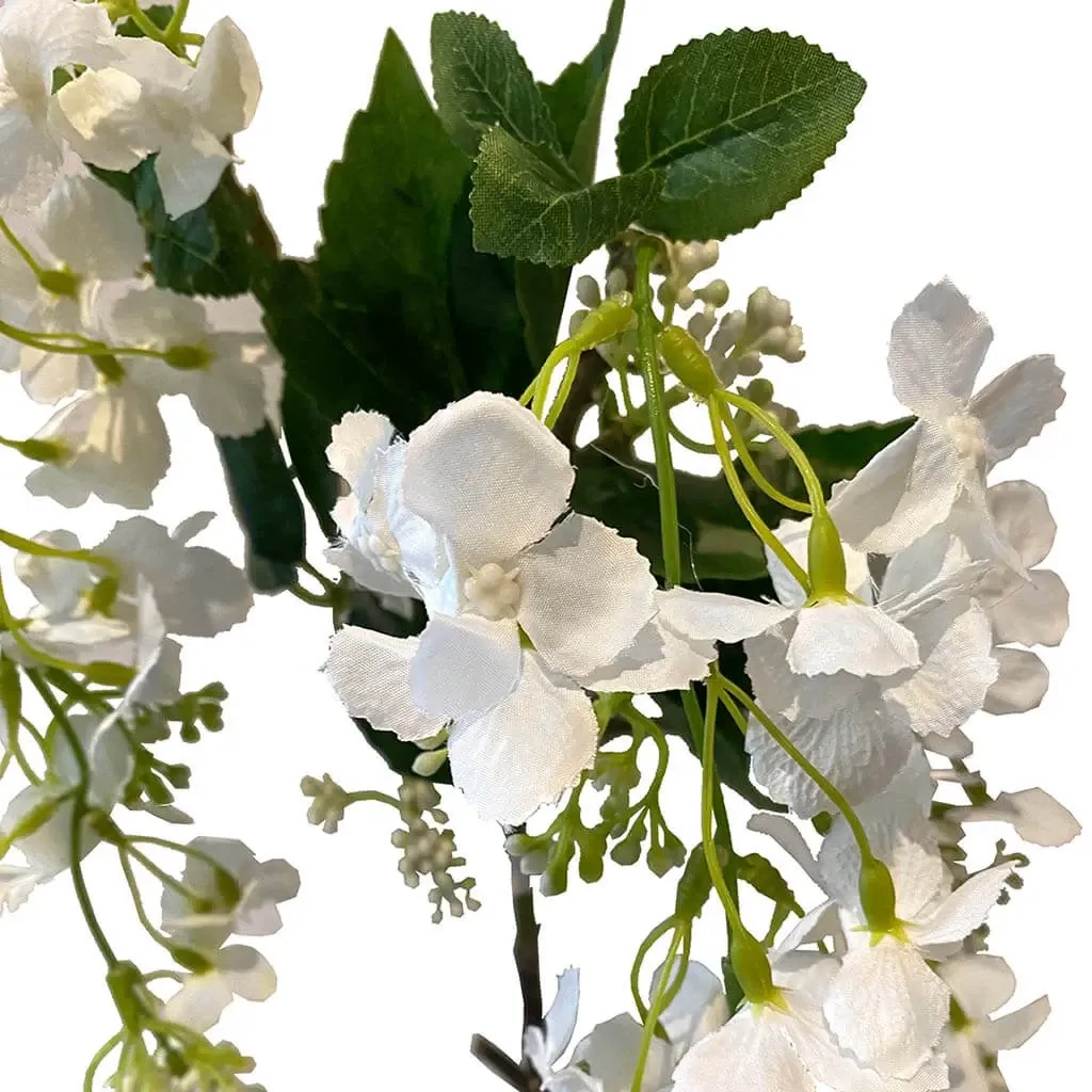 Buy Klatrehortensia, creme, 120cm