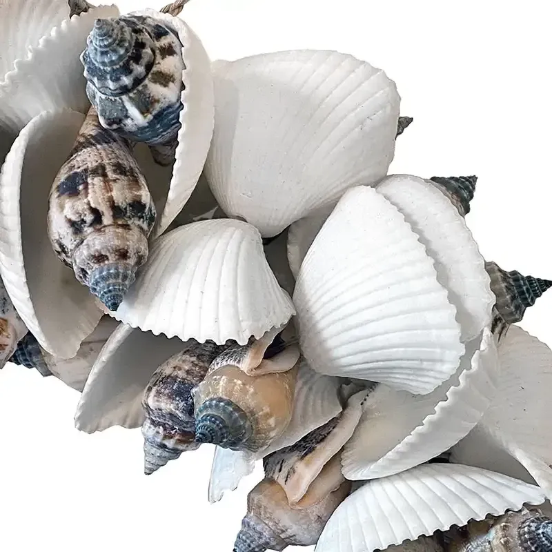 Buy Krans af skaller, ægte skaller, Ø28x8