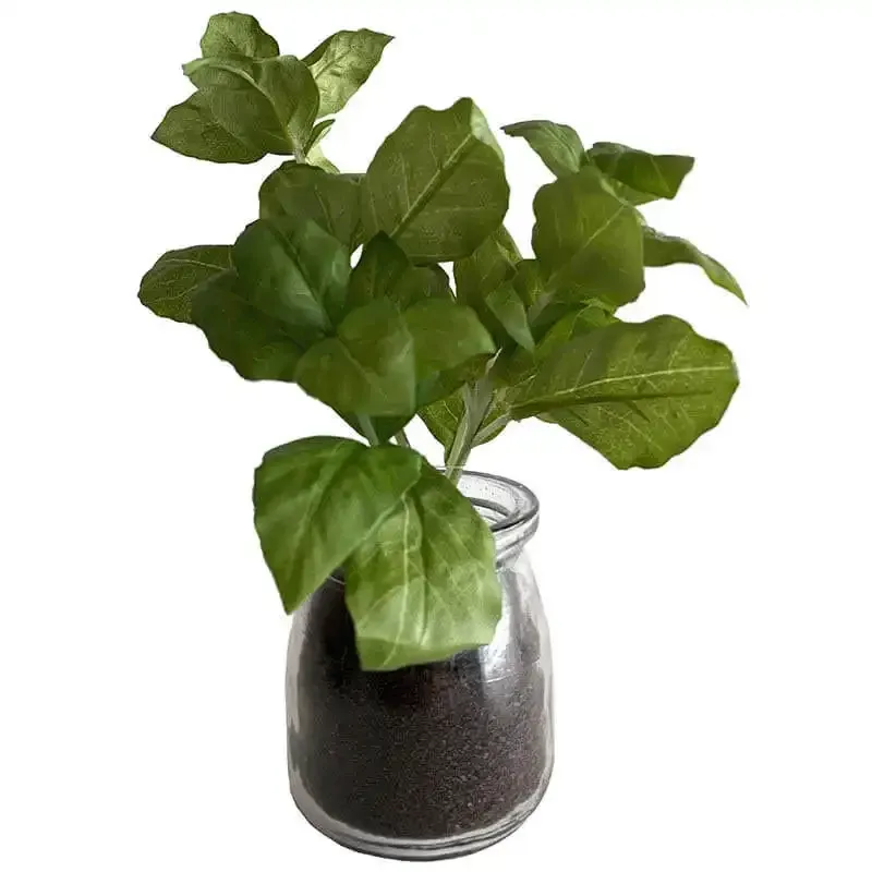 Buy Krydderurt i glaskrukke, assorteret, 20cm