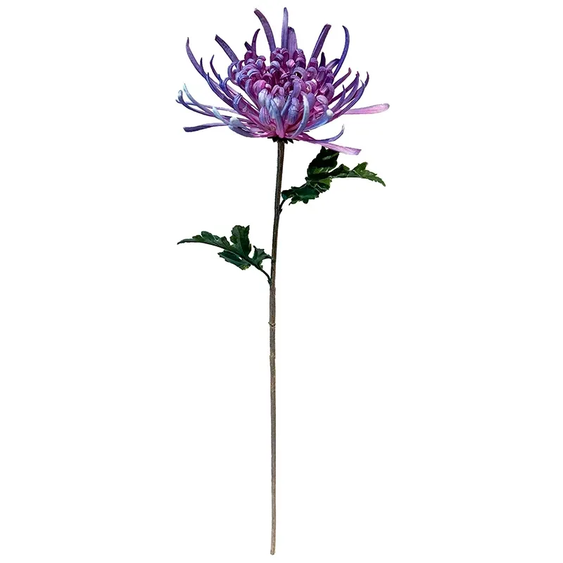 Buy Krysantemum, Chrysanthemum, 68 cm. kunstig