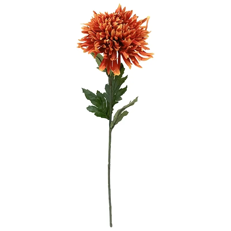 Buy Krysantemum, Chrysanthemum, 75 cm. kunstig