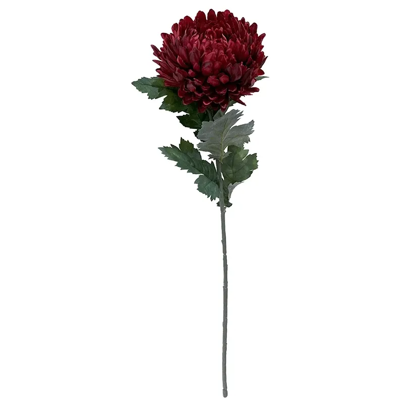 Buy Krysantemum, Chrysanthemum, 75 cm. kunstig