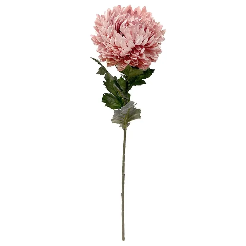 Buy Krysantemum, Chrysanthemum, 75 cm. kunstig